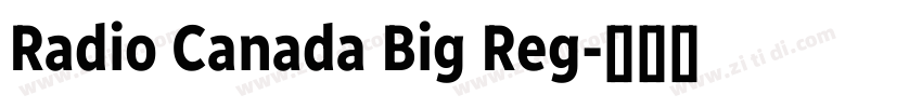 Radio Canada Big Reg字体转换